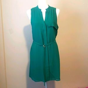 Naked Zebra Women's Dress